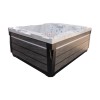 JJSPA Alpha 921 - Hot tub