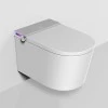 SECRET T6 - Wall-mounted Smart Toilet