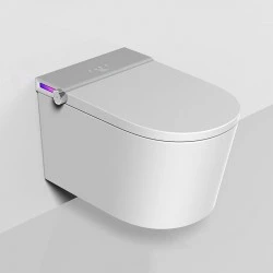 SECRET T6 - Wall-mounted Smart Toilet