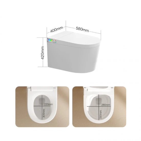 SECRET T6 - Wall-mounted Smart Toilet